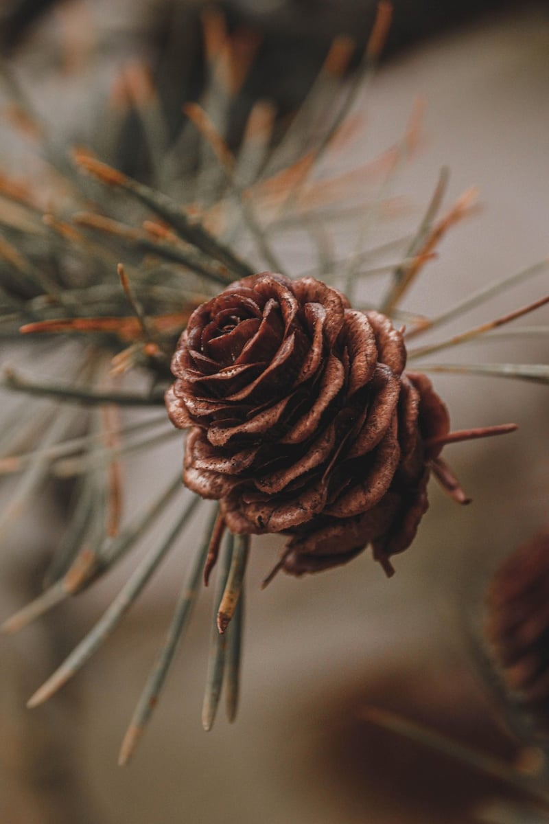Whimsical Forest Centerpiece